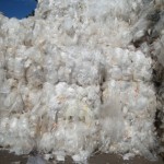 LDPE Films